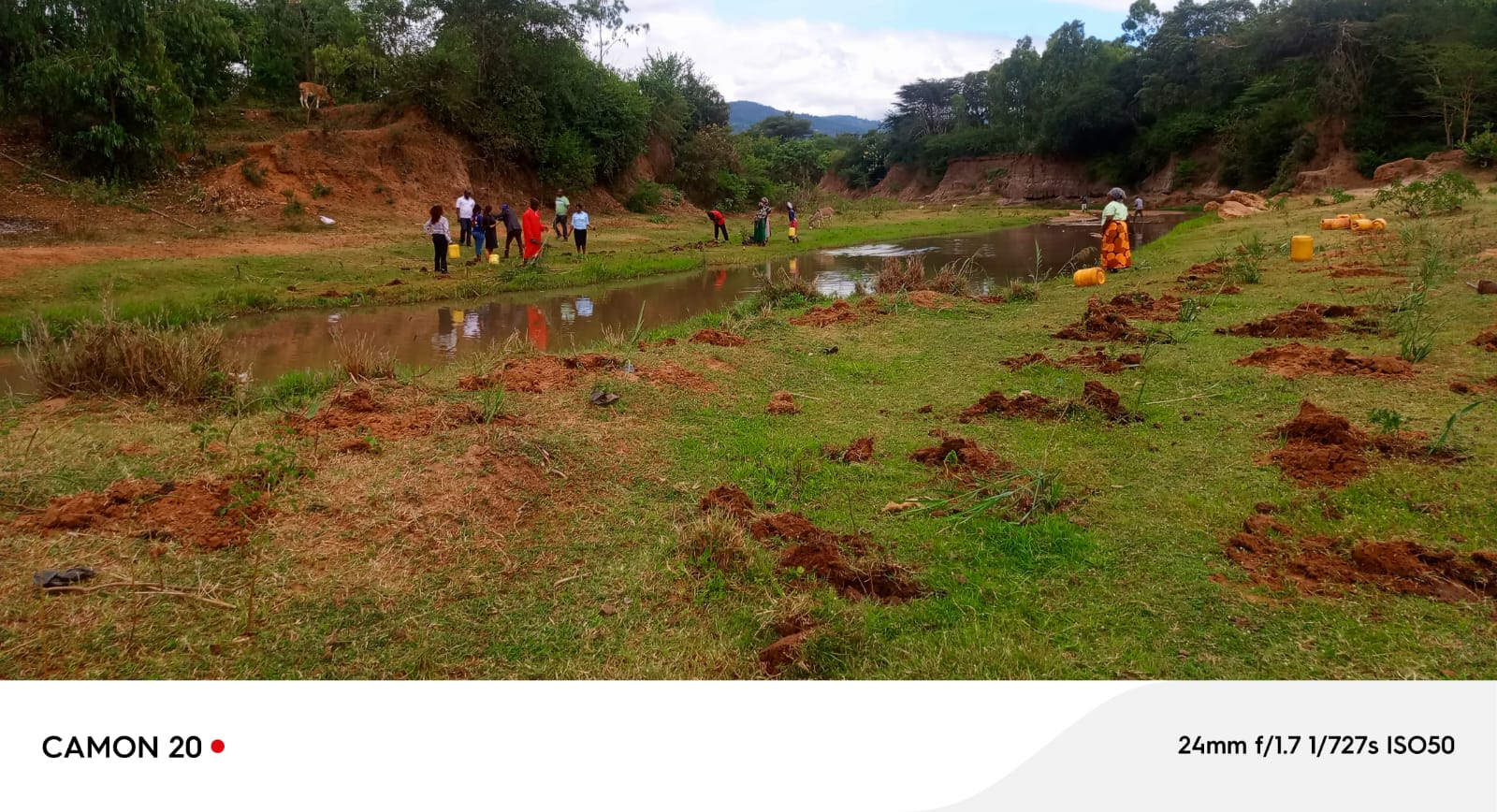 Planting Trees