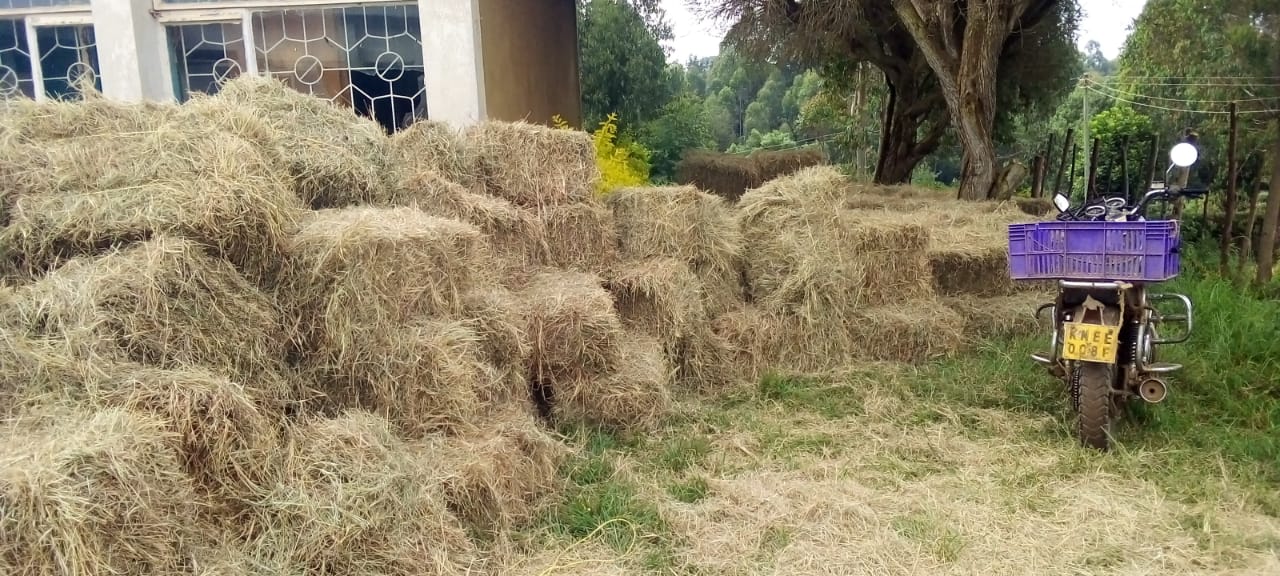 Hay Bales Delivered At Kikima Corporative 