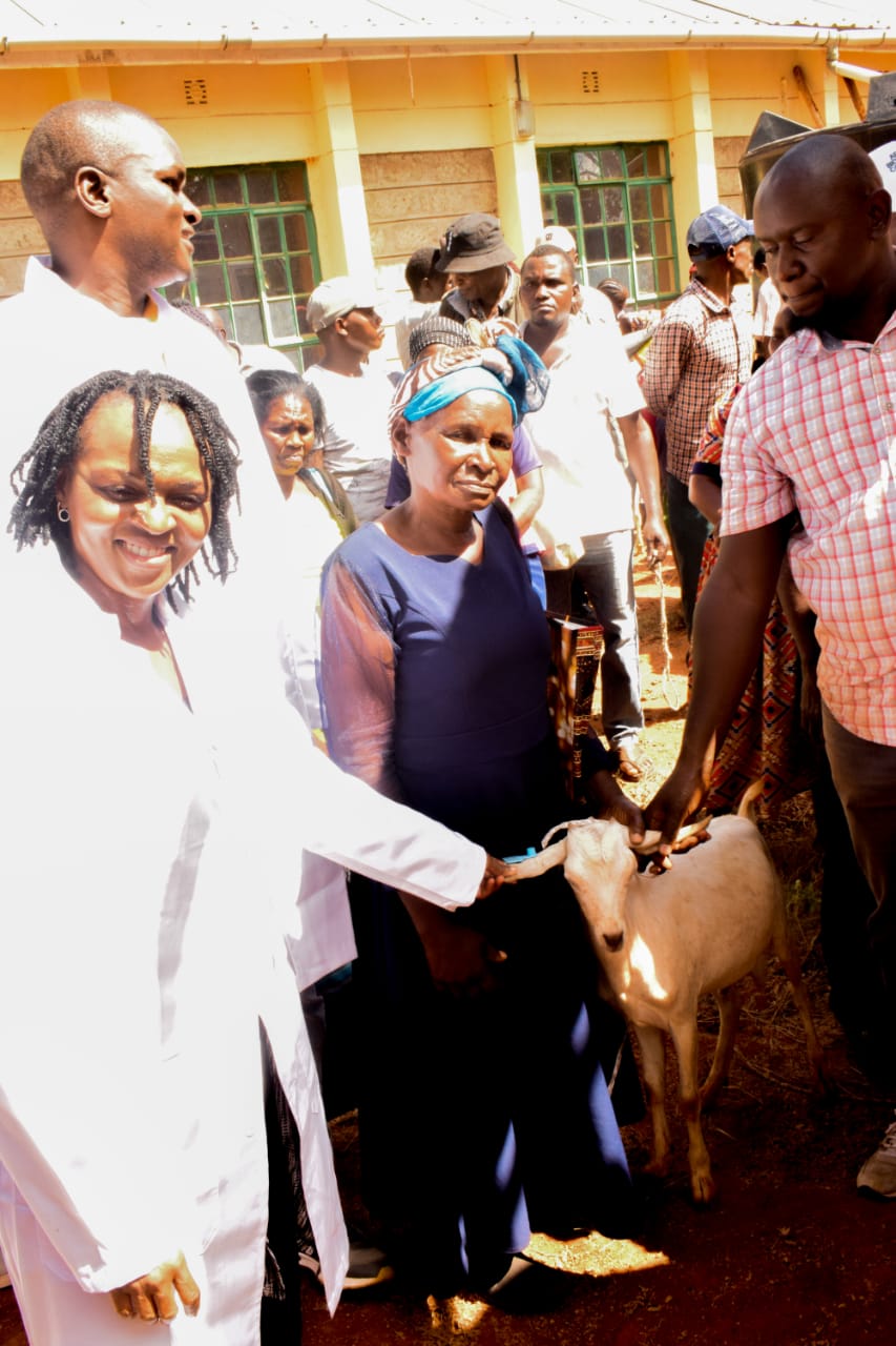 Gala Goat Distribution