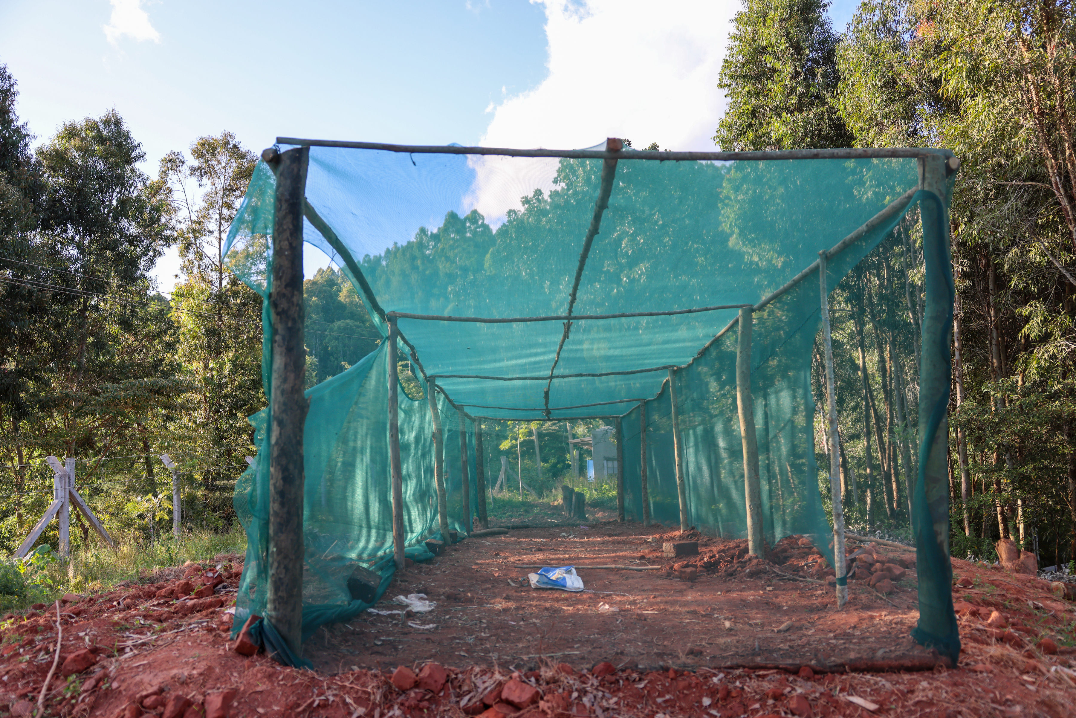 Ilovoto Conical Garden