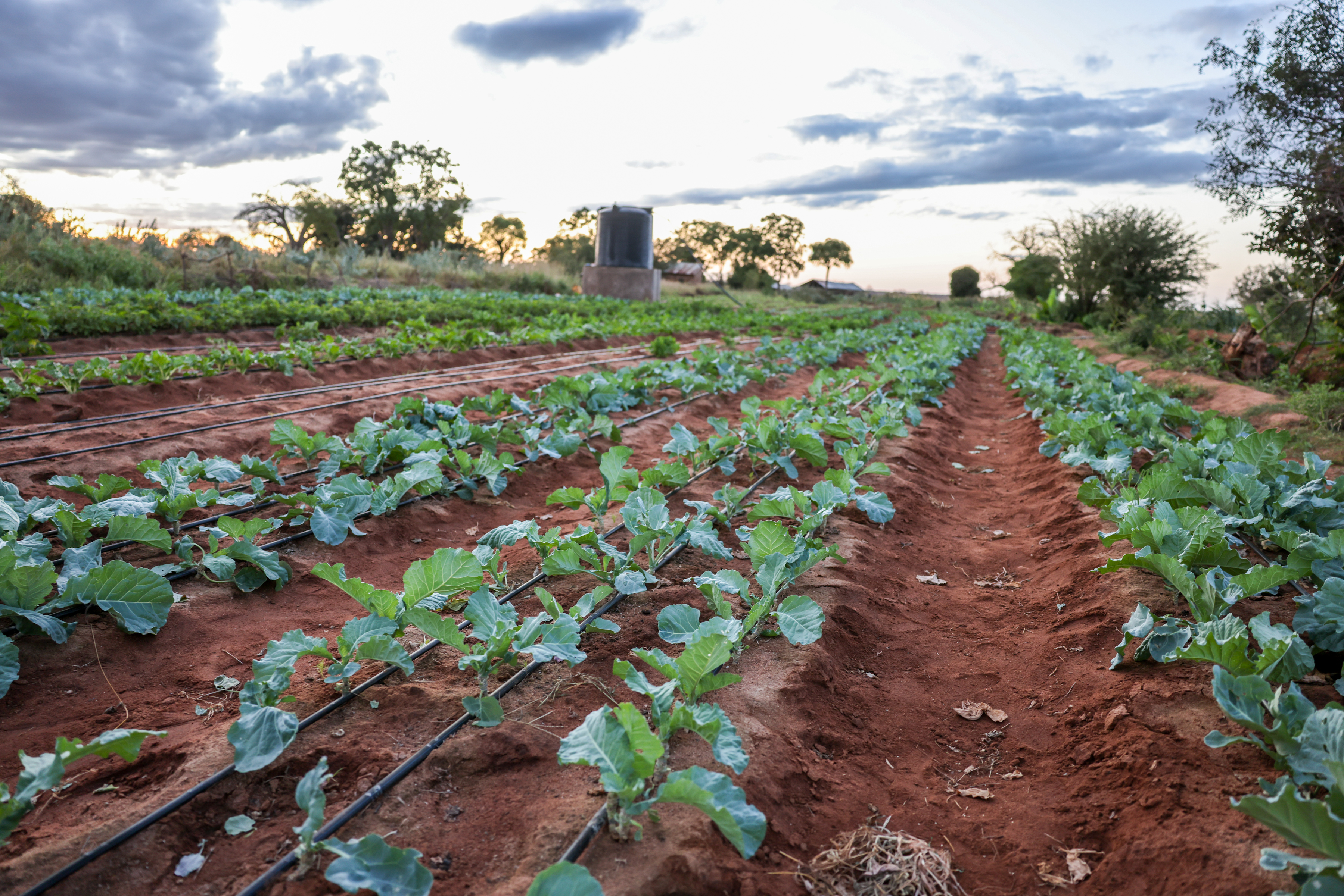Muliluni Kiambani Water Project