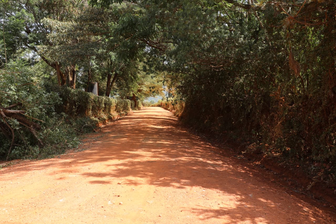 11.4kms Road Graded Along Imale Primary School Junction-kalawani-mavindu