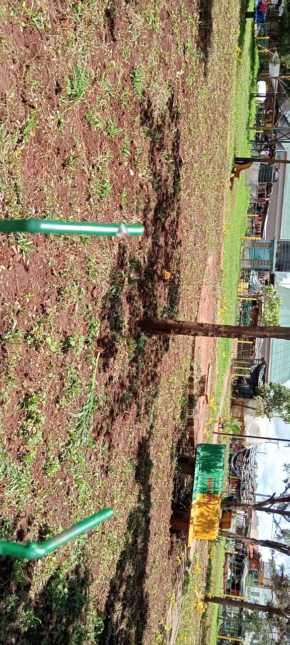 Rehabilitation Of Emali Recreation Park And Ict Resource Centre